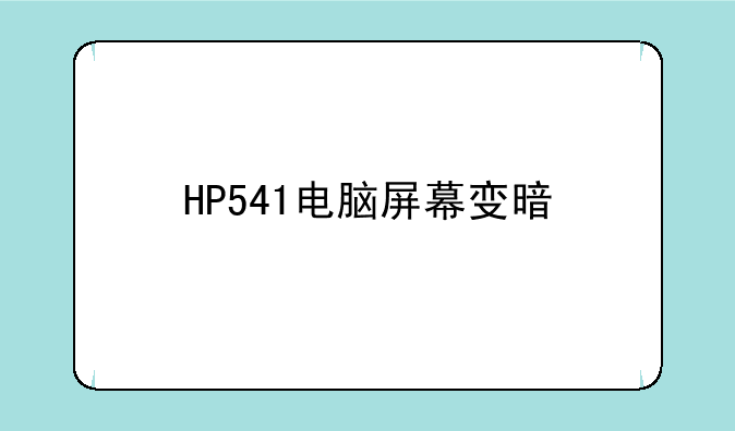 HP541电脑屏幕变暗