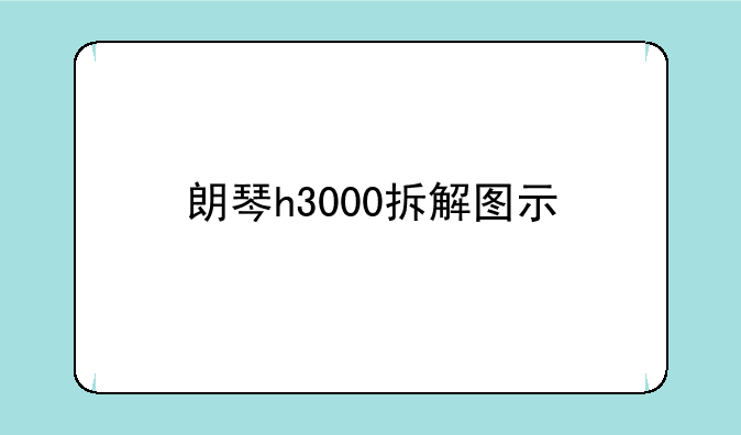 朗琴h3000拆解图示
