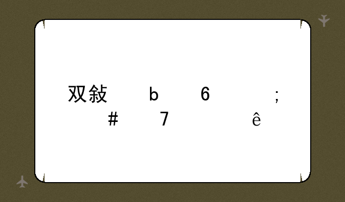 双敏显卡怎么不见了