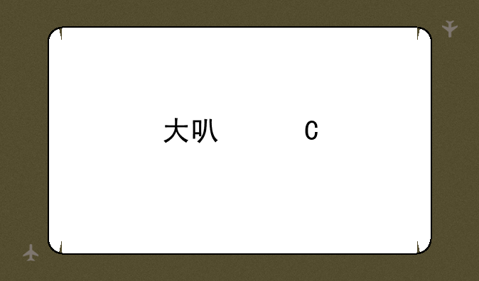 大可乐手机创始人？