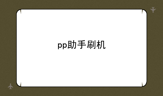 pp助手刷机