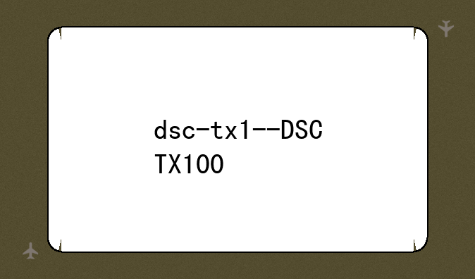 dsc-tx1--DSCTX100