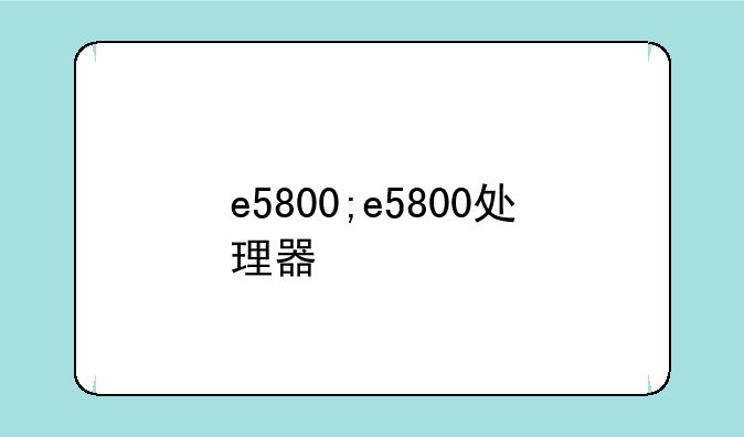 e5800;e5800处理器