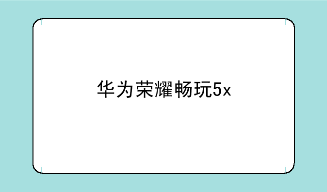 华为荣耀畅玩5x