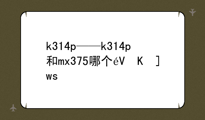 k314p——k314p和mx375哪个音质好